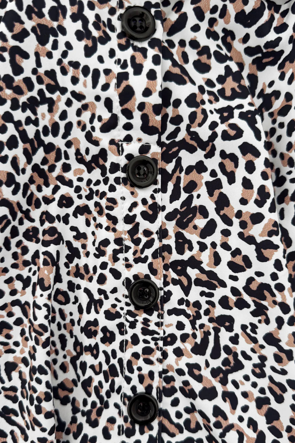 Leopard Print Dress